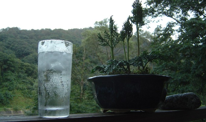 IcedWater (80k image)