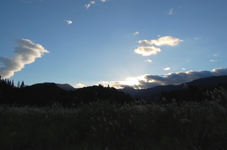 Shoji092610 (51k image)