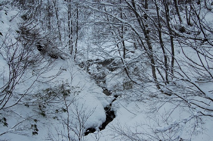 Snow0115 (189k image)