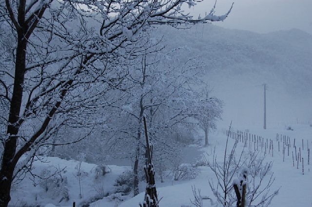 Snow1125 (95k image)