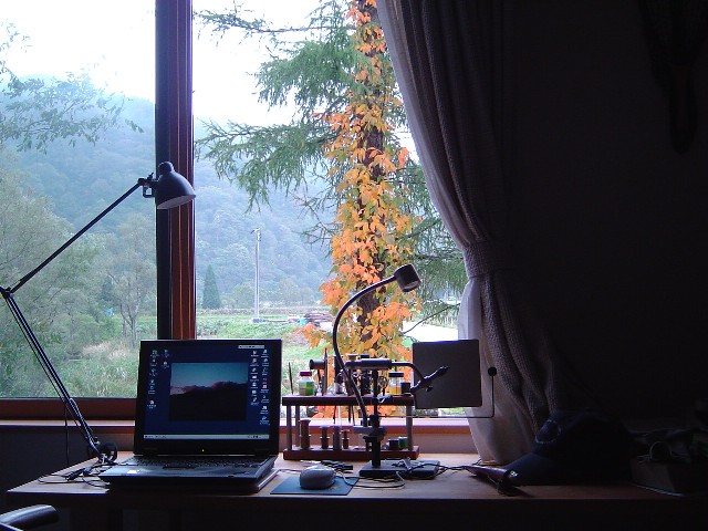 Window1013 (92k image)
